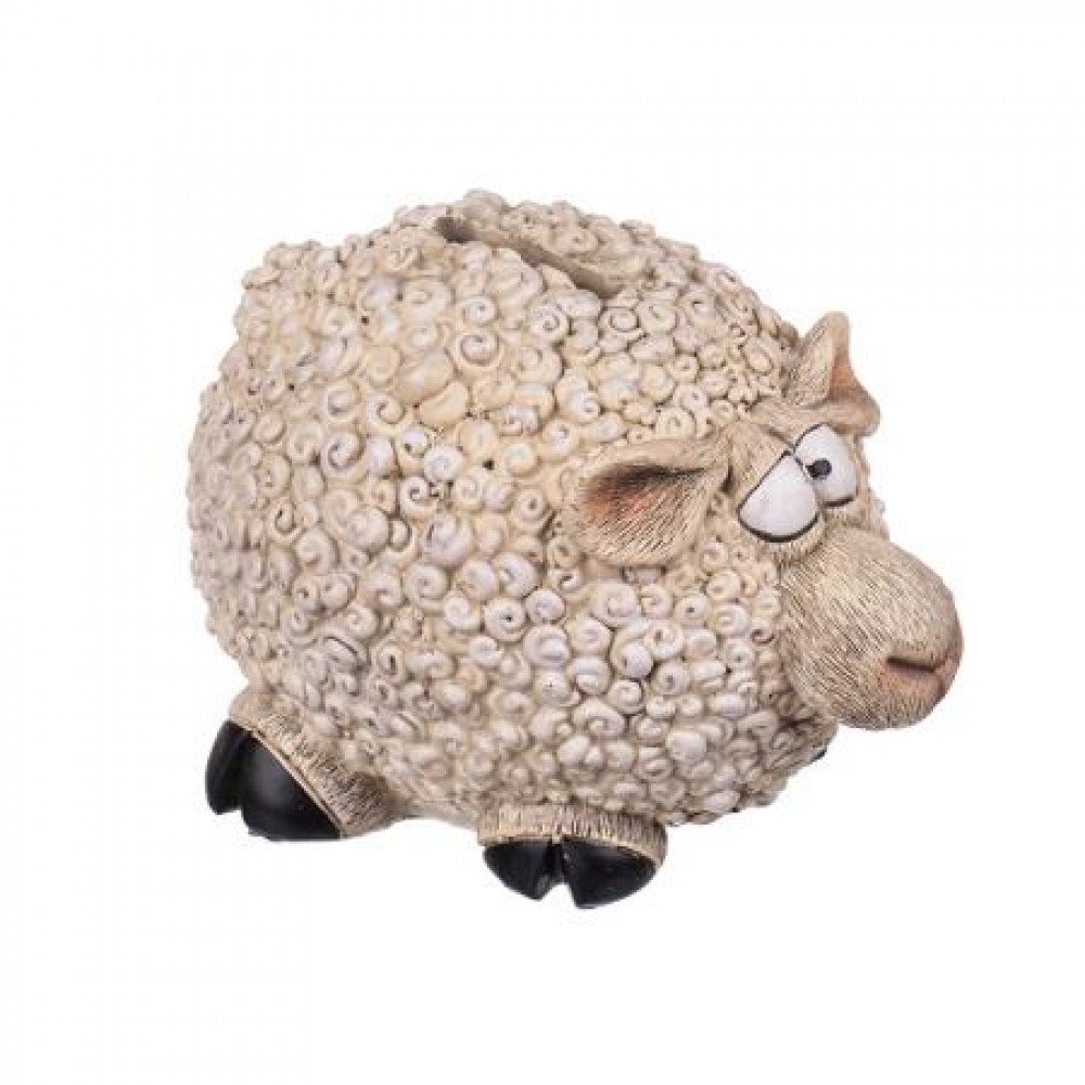 Касичка овца